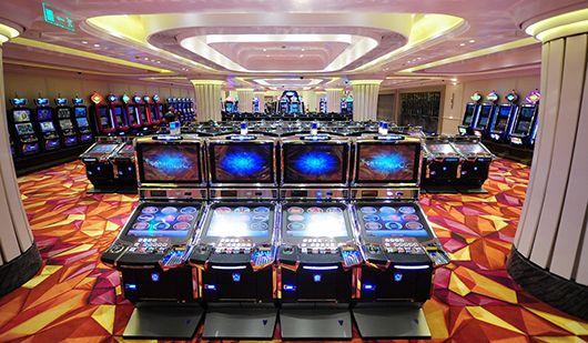 Первый год работы казино Tigre de Cristal принес государству 448 млн рублей